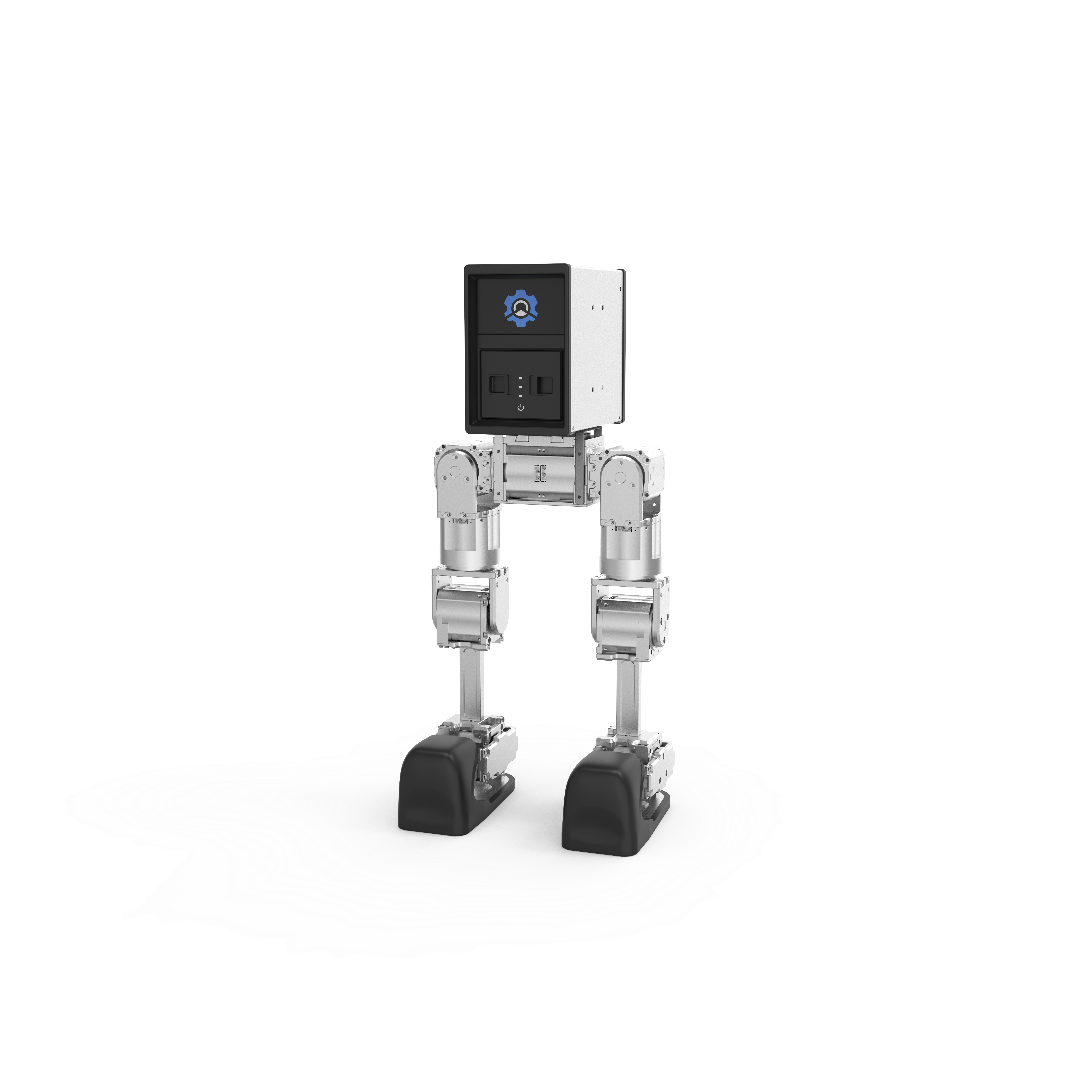 biped robot Mini π